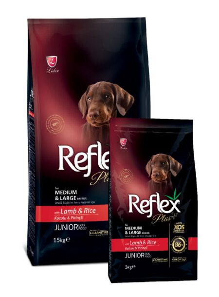 REFLEX  JUNIOR
