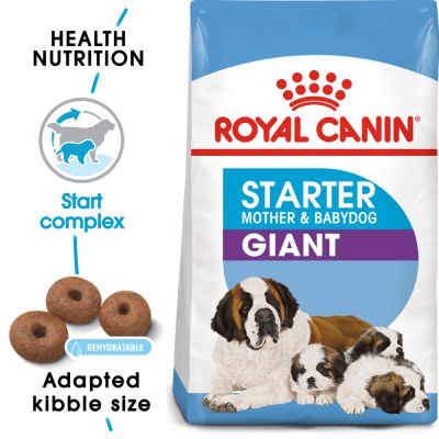 ROYAL CANIN GIANT  STARTER