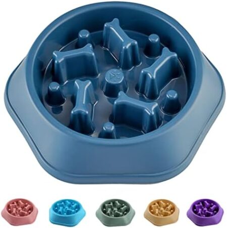 SLOW FEEDING BOWL SMALL SIZE