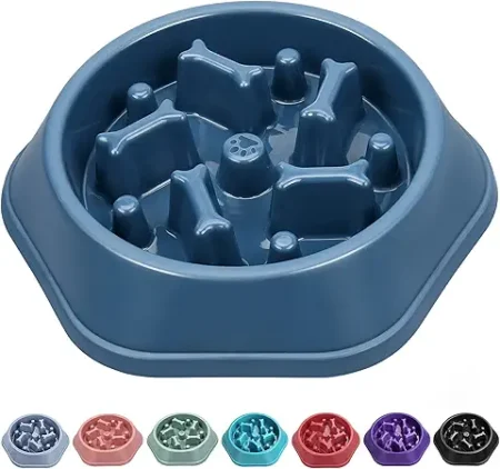 SLOW FEEDING BOWL
