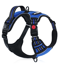 DOG HARNESS
