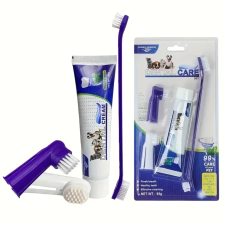 DENTAL CARE TOOTHPASTE AND BRUSH
