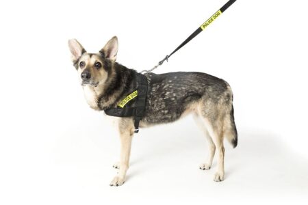 POLICE DOG HARNESS