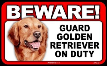 BEWARE OF DOG GOLDEN RETRIEVER SIGN