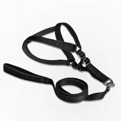 HARNESS (L)